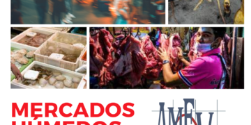 MERCADOS HÚMEDOS: análisis con visión epidemiológica