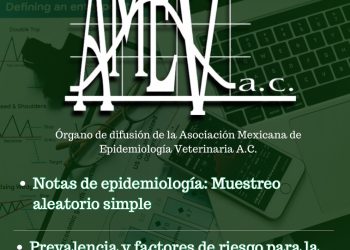 REVISTA NO. 17 – Año 6